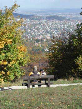 Gyógytorna XII.kerület, Gyógytornász XII. kerületben